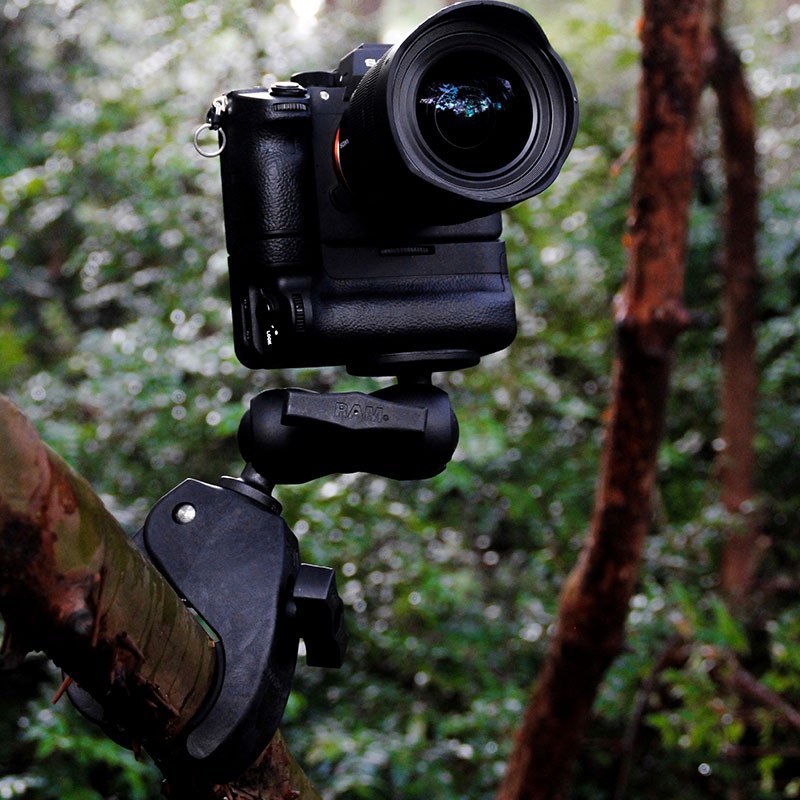 RAM Large Tough-Claw™ with 1.5" Rubber Ball (RAP-401U)